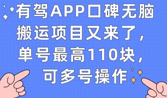 有驾APP口碑无脑搬运项目又来了，单号最高110块，可多号操作-七安资源网