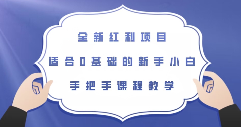 全新红利项目，适合0基础的新手小白，手把手课程教学【揭秘】-七安资源网