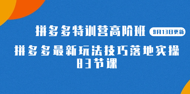 （7295期）2023拼多多·特训营高阶班【9月13日更新】拼多多最新玩法技巧落地实操-83节-七安资源网