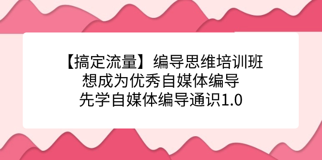 （7281期）【搞定流量】编导思维培训班，想成为优秀自媒体编导先学自媒体编导通识1.0-七安资源网