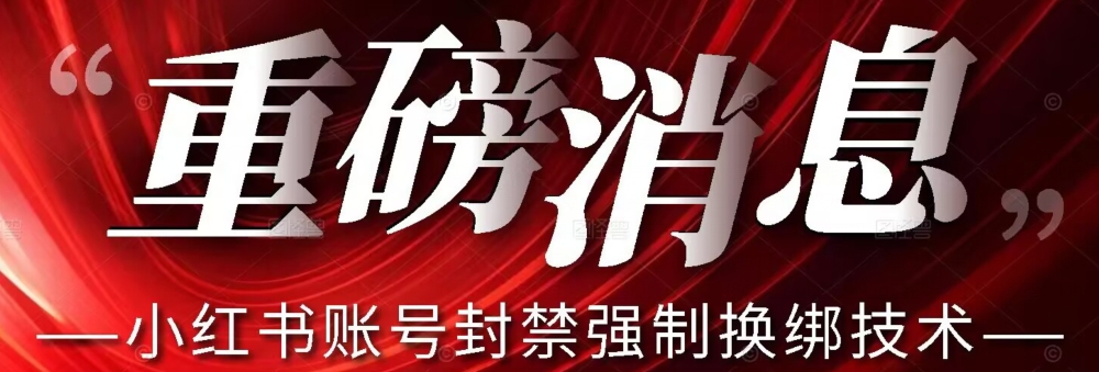 【最新】小红书账号封禁强制换绑技术可日赚300-七安资源网