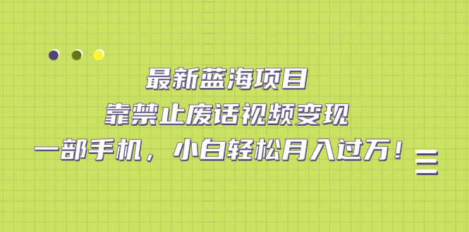 （7276期）最新蓝海项目，靠禁止废话视频变现，一部手机，小白轻松月入过万！-七安资源网