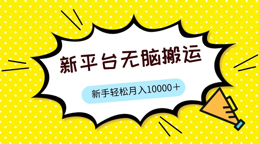 新平台用软件无脑搬运，月赚10000+，小白也能轻松上手-七安资源网