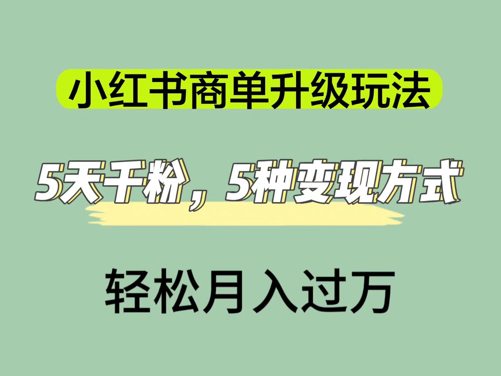 （7312期）小红书商单升级玩法，5天千粉，5种变现渠道，轻松月入1万+-七安资源网