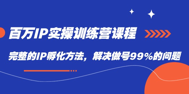 百万IP实战训练营课程，完整的IP孵化方法，解决做号99%的问题-七安资源网