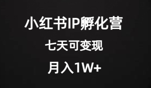 价值2000+的小红书IP孵化营项目，超级大蓝海，七天即可开始变现，稳定月入1W+-七安资源网