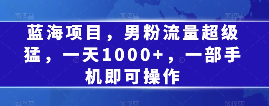 蓝海项目，男粉流量超级猛，一天1000+，一部手机即可操作【揭秘】-七安资源网