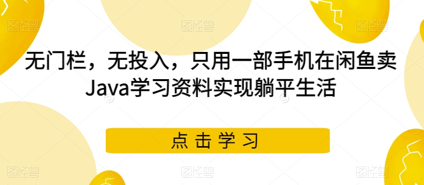 无门栏，无投入，只用一部手机在闲鱼卖Java学习资料实现躺平生活【揭秘】-七安资源网