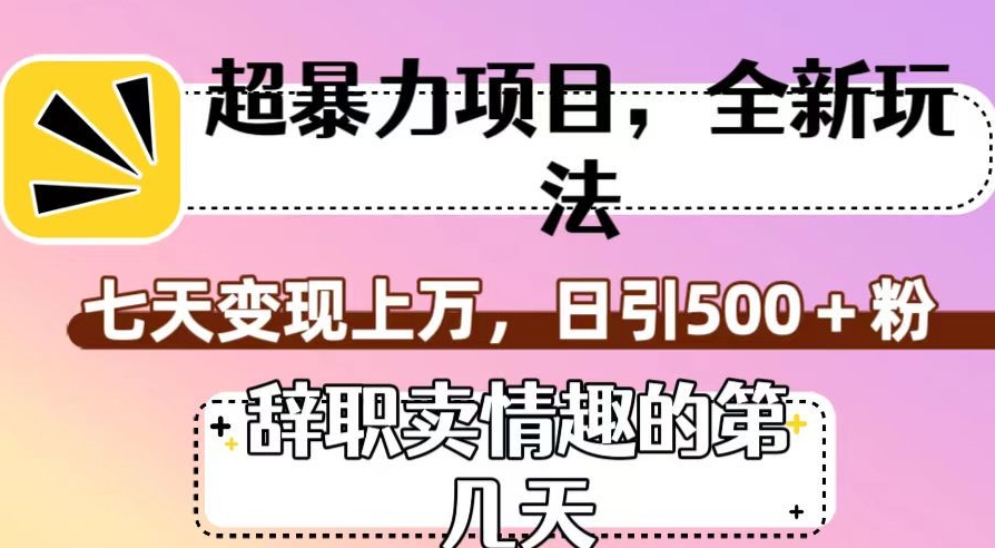 超暴利项目，全新玩法（辞职卖情趣的第几天），七天变现上万，日引500+粉【揭秘】-七安资源网