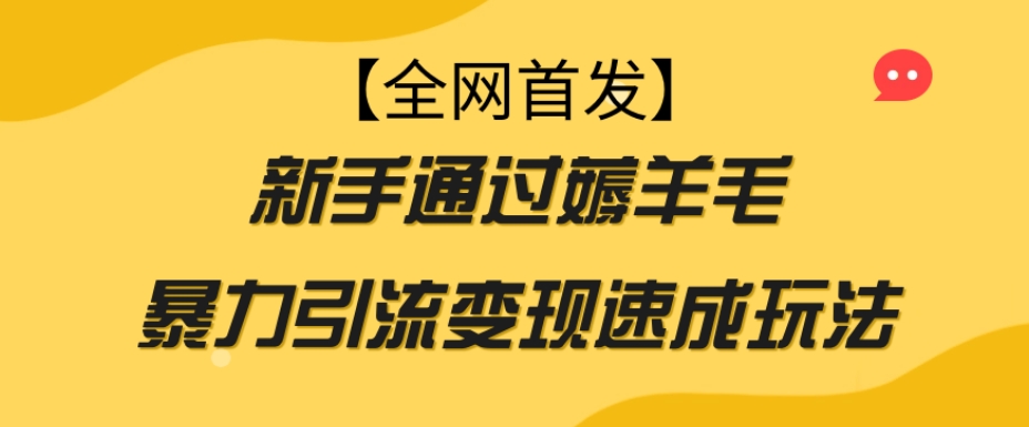 【全网首发】新手通过薅羊毛暴力引流变现速成玩法-七安资源网