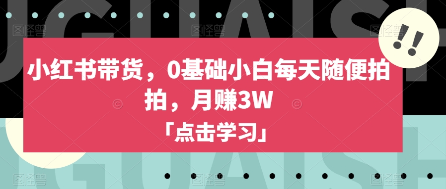 小红书带货，0基础小白每天随便拍拍，月赚3W【揭秘】-七安资源网