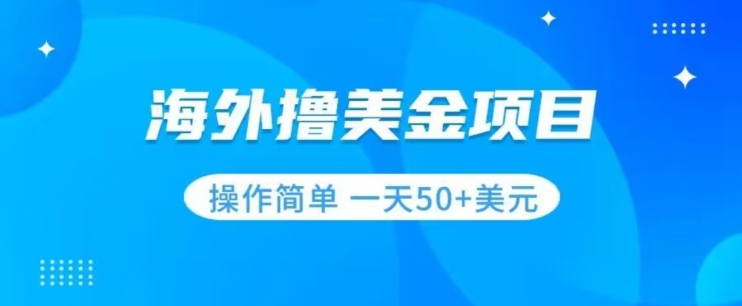 撸美金项目无门槛操作简单小白一天50+美刀-七安资源网