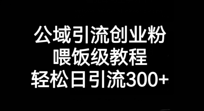 公域引流创业粉，喂饭级教程，轻松日引流300+【揭秘】-七安资源网