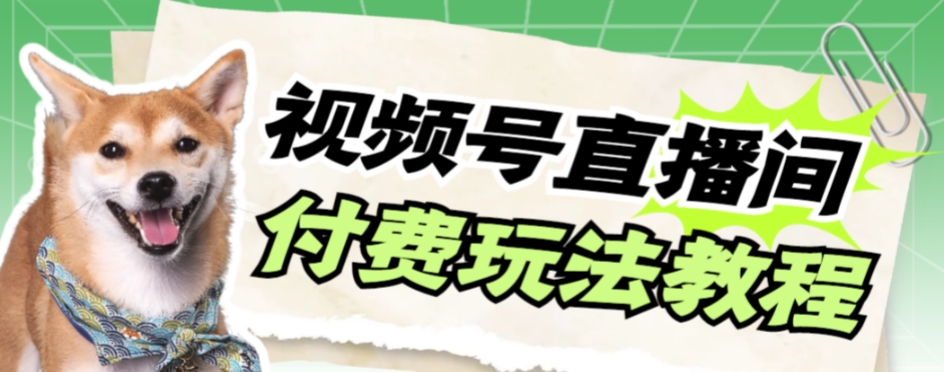 视频号美女付费无人直播，轻松日入500+【详细玩法教程】-七安资源网