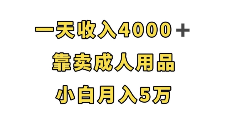 一天收入4000+，靠卖成人用品，小白轻松月入5万【揭秘】-七安资源网