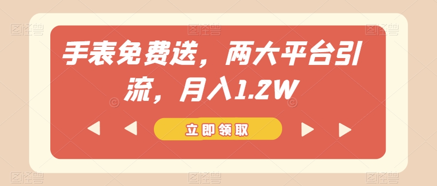 手表免费送，两大平台引流，月入1.2W【揭秘】-七安资源网