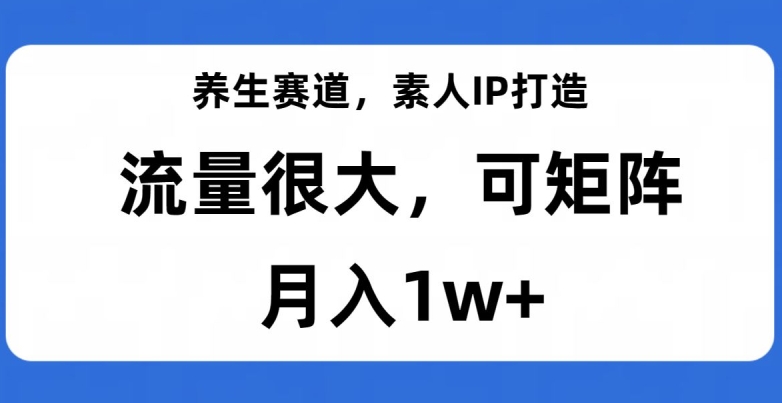 养生赛道，素人IP打造，流量很大，可矩阵，月入1w+【揭秘】-七安资源网