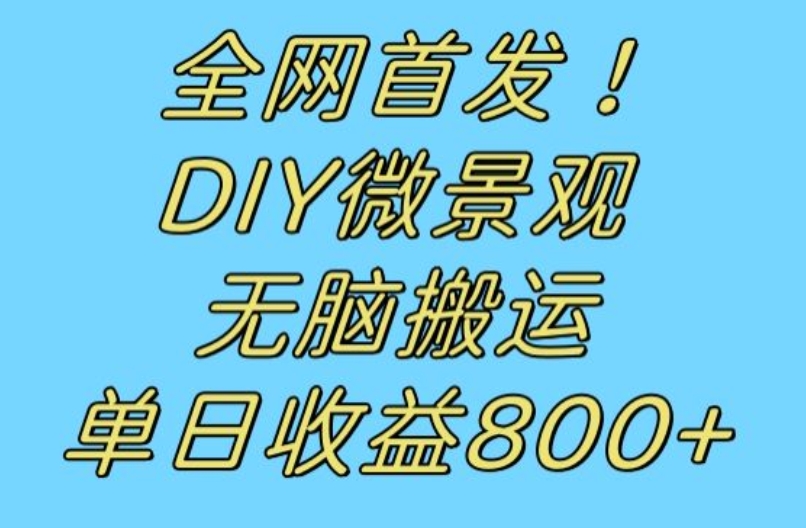 全网首发冷门赛道！DIY微景观，无脑搬运视频，日收益800+【揭秘】-七安资源网