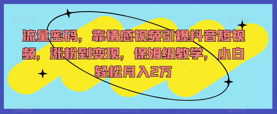 流量密码，靠情感视频引爆抖音短视频，涨粉到变现，保姆级教学，小白轻松月入2万【揭秘】-七安资源网