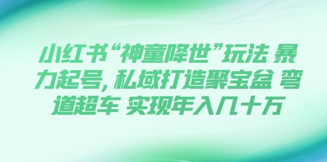 （7673期）小红书“神童降世”玩法 暴力起号,私域打造聚宝盆 弯道超车 实现年入几十万-七安资源网