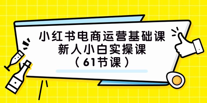 小红书电商运营基础课，新人小白实操课（61节课）-七安资源网