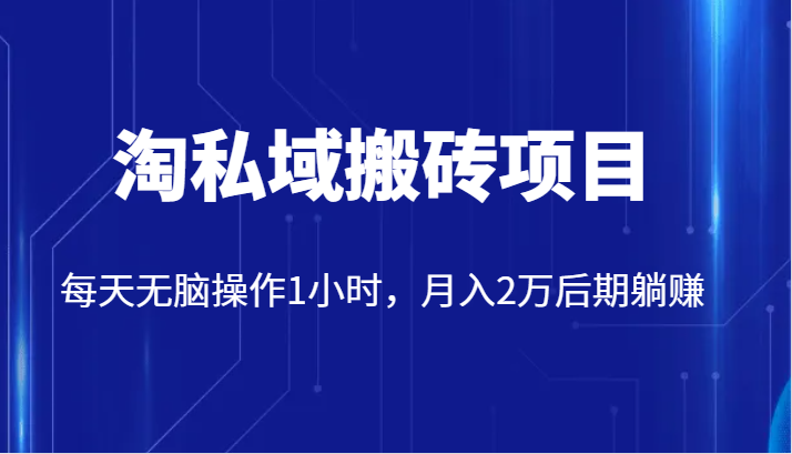 价值2980的淘私域搬砖项目，每天无脑操作1小时，月入2万后期躺赚-七安资源网