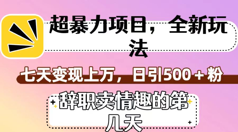 超暴利项目，全新玩法（辞职卖情趣的第几天），七天变现上万，日引500+粉-七安资源网