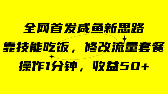 （7508期）咸鱼冷门新玩法，靠“技能吃饭”，修改流量套餐，操作1分钟，收益50+-七安资源网