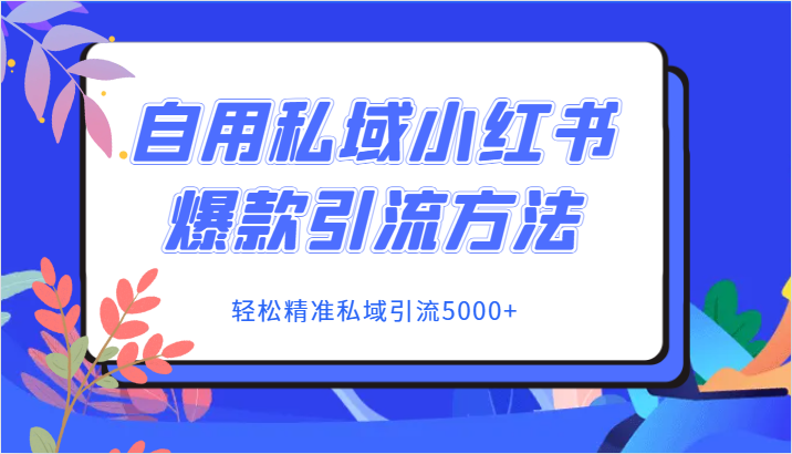 自用私域小红书爆款引流方法，轻松精准私域引流5000+-七安资源网