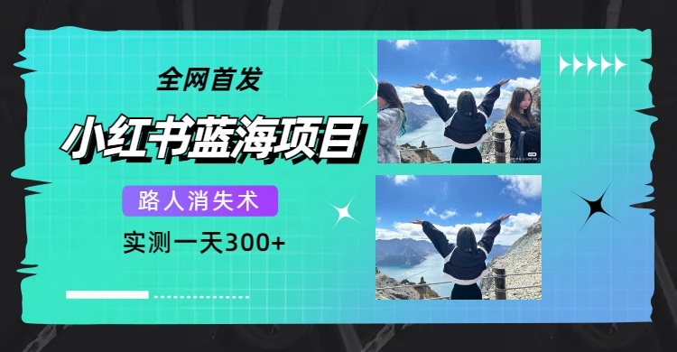 （7537期）全网首发，小红书蓝海项目，路人消失术，实测一天300+（教程+工具）-七安资源网