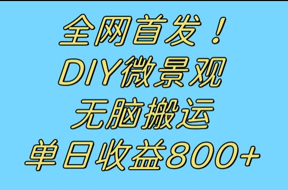 全网首发冷门赛道！DIY微景观，无脑搬运视频，日收益800+-七安资源网