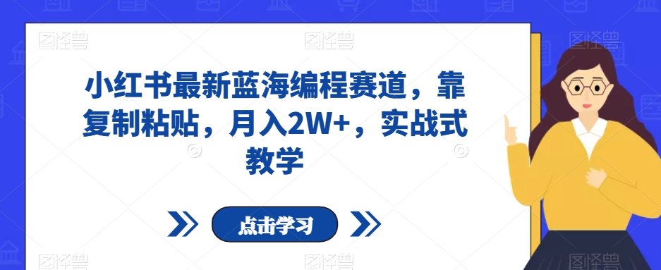 小红书最新蓝海编程赛道，靠复制粘贴，月入2W+，实战式教学【揭秘】-七安资源网