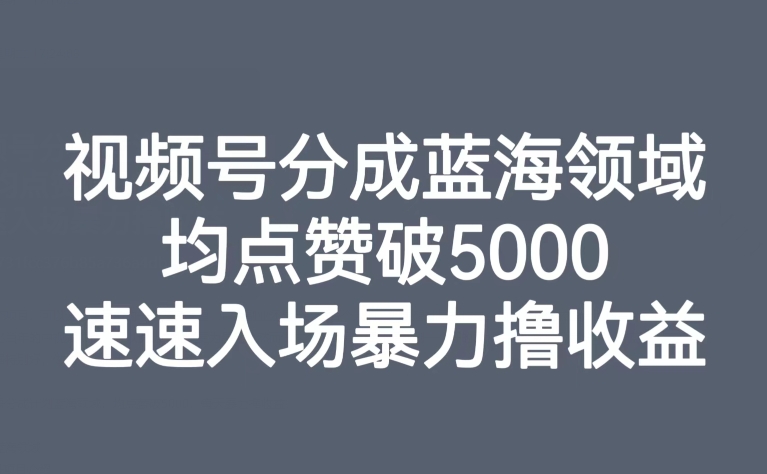 视频号分成蓝海领域，均点赞破5000，速速入场暴力撸收益-七安资源网