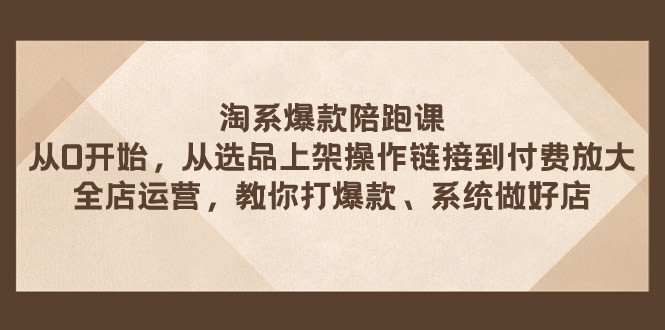 淘系爆款陪跑课 从选品上架操作链接到付费放大 全店运营 打爆款 系统做好店-七安资源网