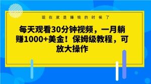 每天观看30分钟视频，一月躺赚1000+美金！保姆级教程，可放大操作【揭秘】-七安资源网