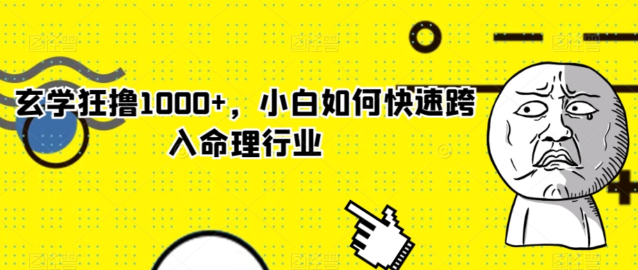 玄学狂撸1000+，小白如何快速跨入命理行业【揭秘】-七安资源网