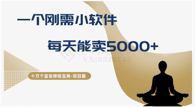 十万个富翁修炼宝典之17.一个刚需小软件，每天能卖5000+-七安资源网