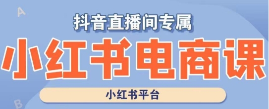 小红书电商高级运营课程，实操教学+案例分析-七安资源网