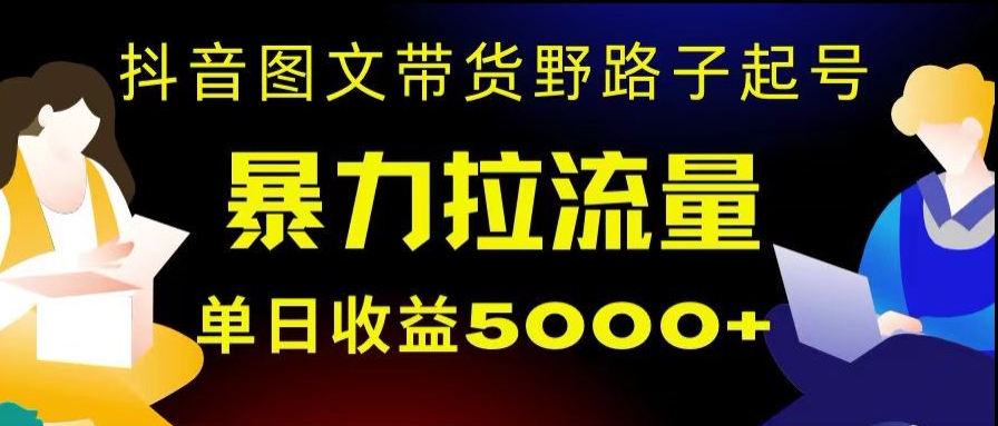 抖音图文带货暴力起号，单日收益5000+，野路子玩法，简单易上手，一部手机即可【揭秘】-七安资源网