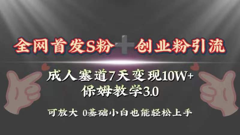 （8337期）全网首发s粉加创业粉引流变现，成人用品赛道7天变现10w+保姆教学3.0-七安资源网