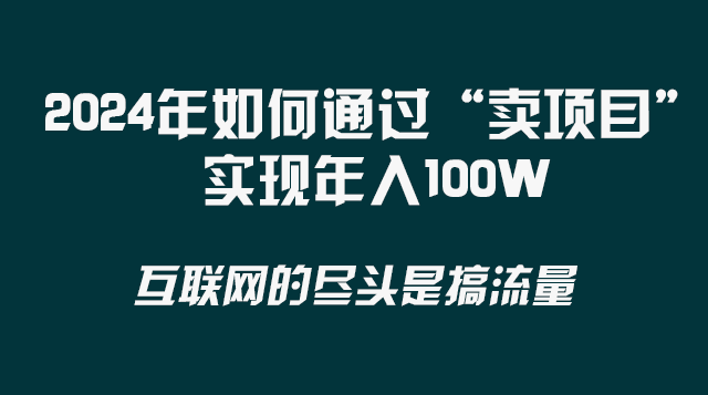 （8382期） 2024年如何通过“卖项目”实现年入100W-七安资源网