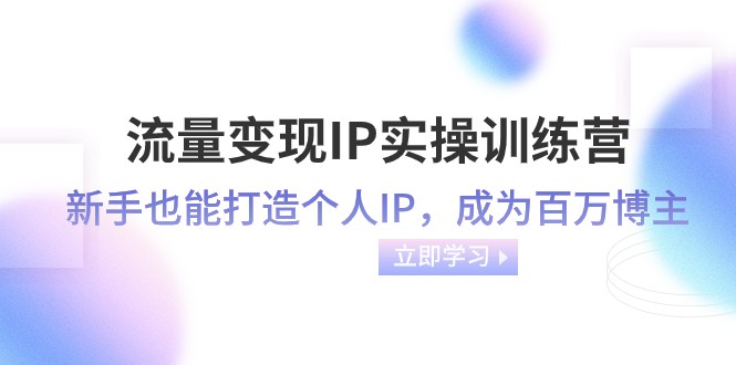 流量变现IP实操训练营：新手也能打造个人IP，成为百万 博主（46节课）-七安资源网