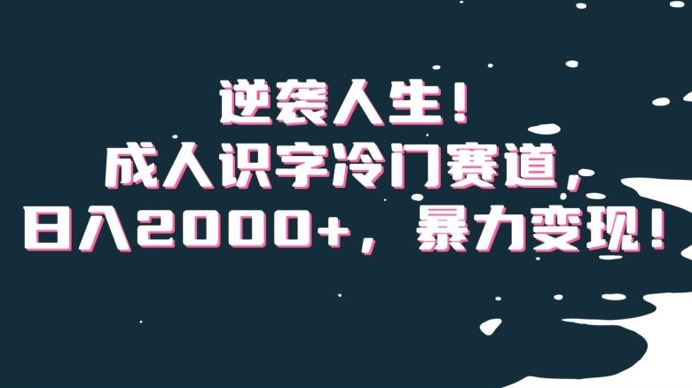 逆袭人生！成人识字冷门赛道，日入2000+，暴力变现！【揭秘】-七安资源网