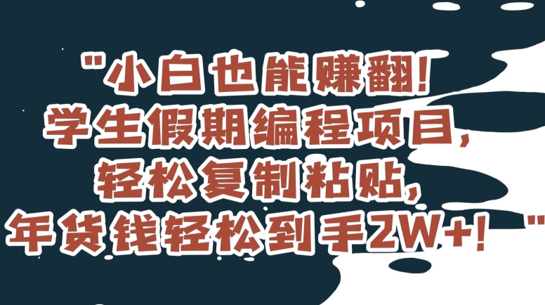 小白也能赚翻！学生假期编程项目，轻松复制粘贴，年货钱轻松到手2W+【揭秘】-七安资源网