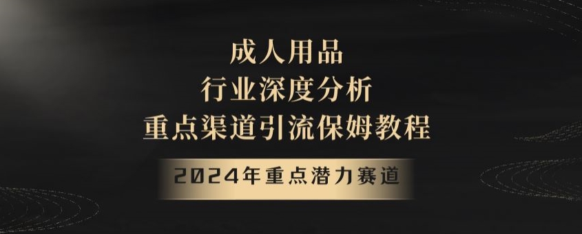 2024年重点潜力赛道，成人用品行业深度分析，重点渠道引流保姆教程【揭秘】-七安资源网