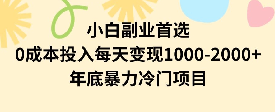 小白副业首选，0成本投入，每天变现1000-2000年底暴力冷门项目【揭秘】-七安资源网