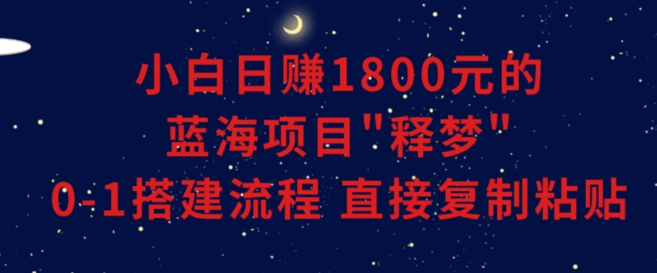 小白能日赚1800元的蓝海项目”释梦”0-1搭建流程可直接复制粘贴长期做-七安资源网