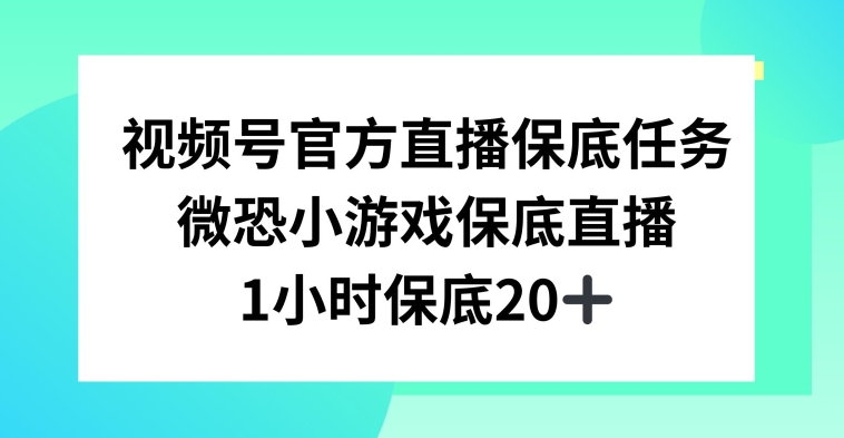 视频号直播任务，微恐小游戏，1小时20+-七安资源网