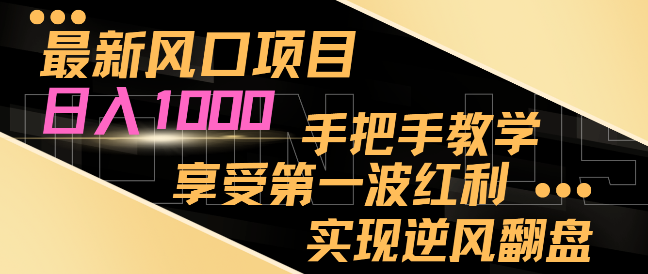 最新风口项目，日入1000，手把手教学，享受第一波红利，实现逆风翻盘-七安资源网