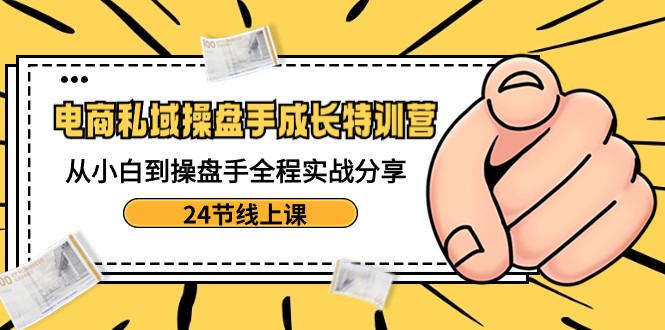 电商私域操盘手成长特训营：从小白到操盘手全程实战分享-24节线上课-七安资源网